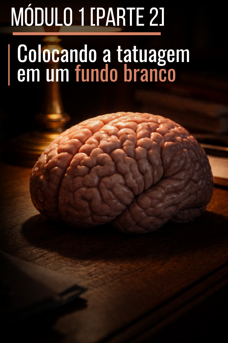 MÓDULO 1 (1)
